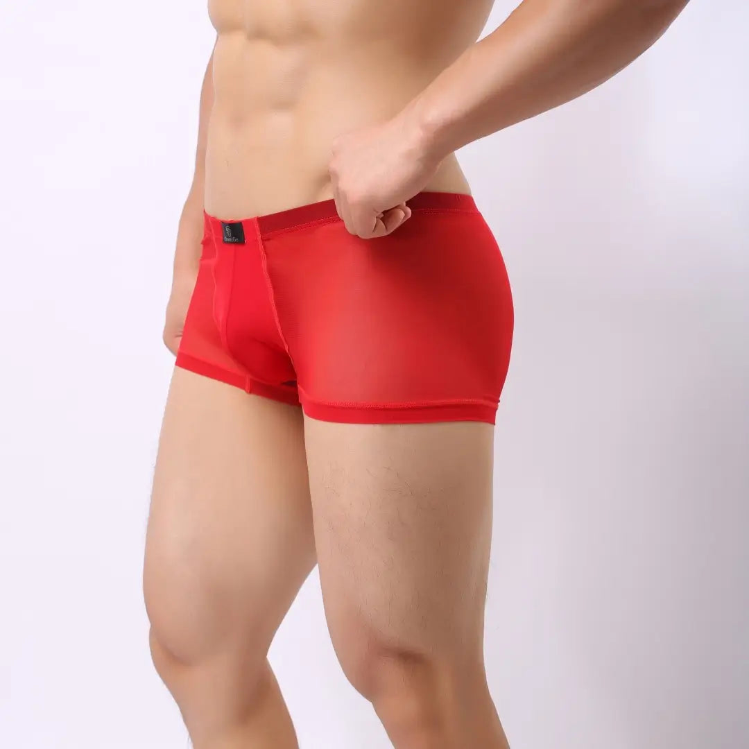 DomiGe Men's Mesh Underwear - Premium Red Underwear for Men with Comfortable Fit