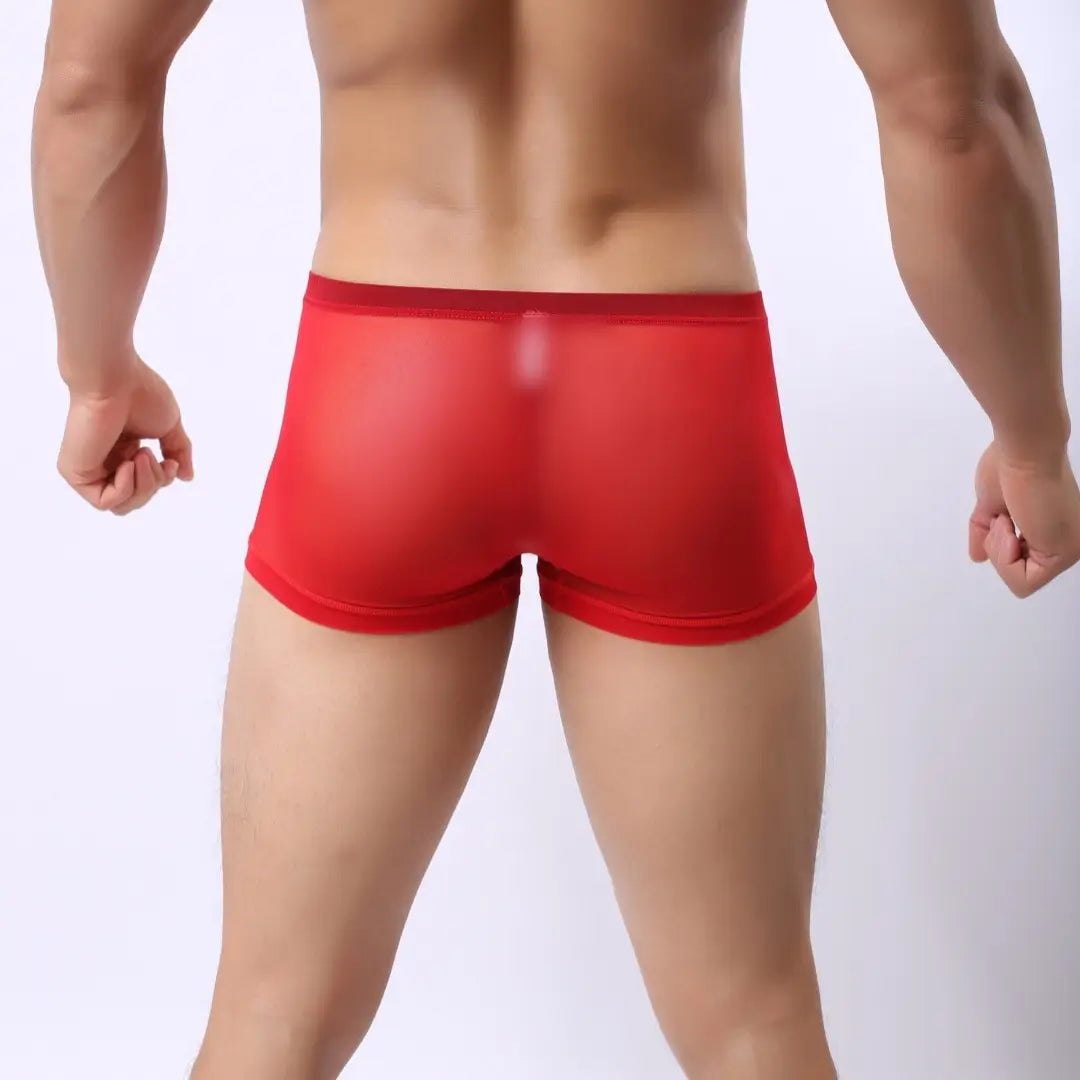 DomiGe Men's Mesh Underwear - Premium Red Underwear for Men with Comfortable Fit