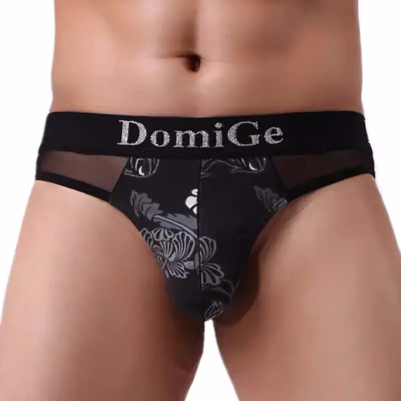 DomiGe Men's Sheer Mesh Underwear - Black, Low Rise , Sexy and Stylish