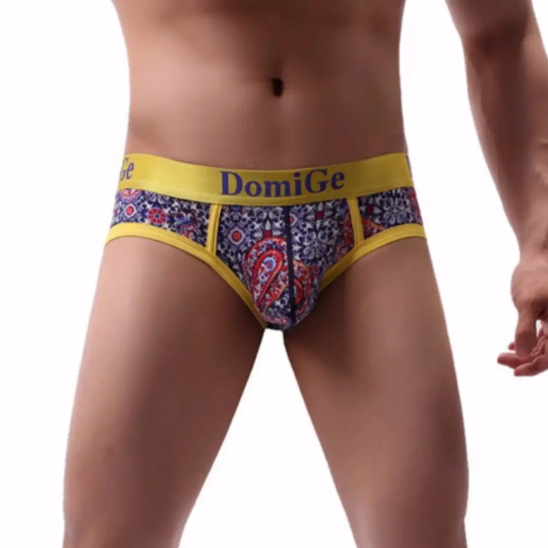 DomiGe Men's Underwear, Red Paisley Print Briefs for Men