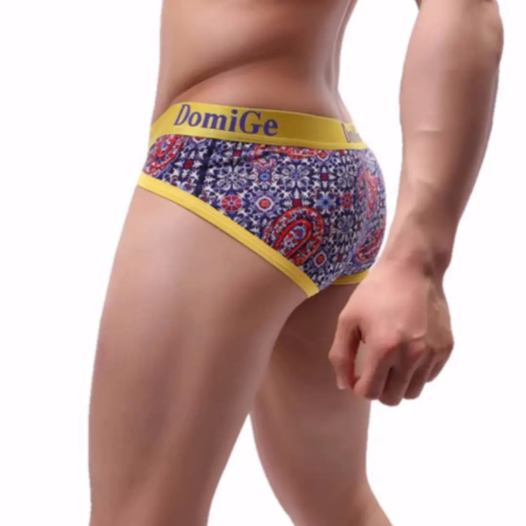 DomiGe Men's Underwear, Red Paisley Print Briefs for Men