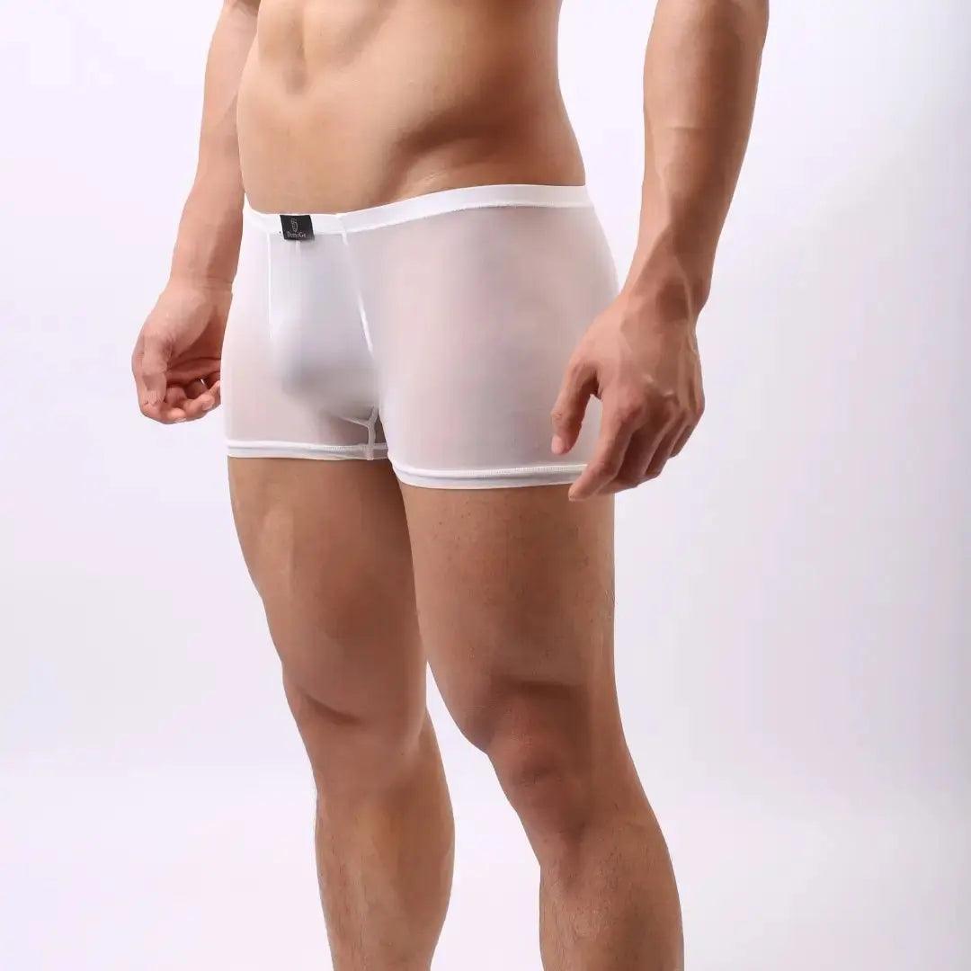 DomiGe Male Underwear Transparent Boxers Sheer Men Sexy Boxers - His Inwear