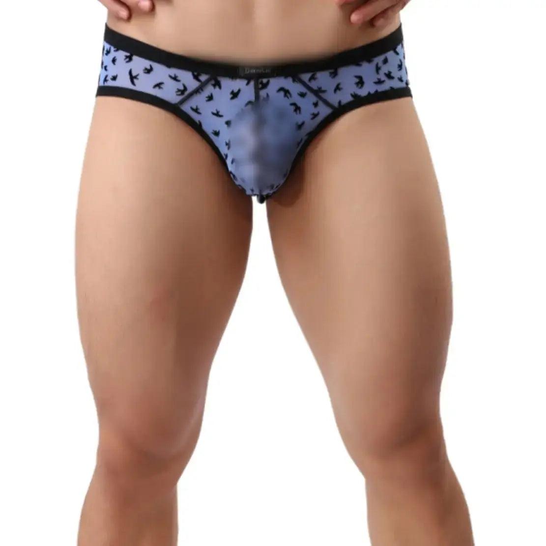 DomiGe Men's Lace Briefs Nylon Mesh Underwear Mid-Rise Lingerie - His Inwear