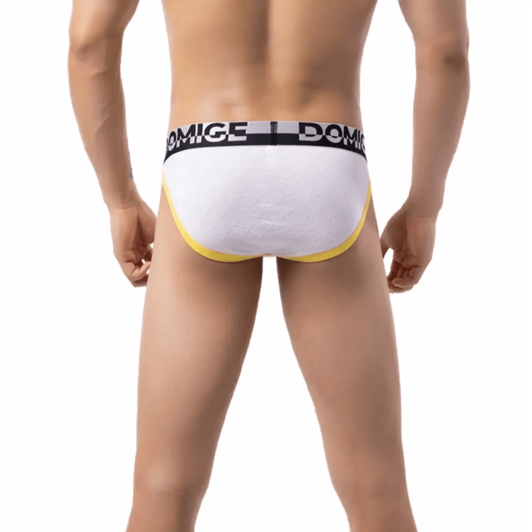 DomiGe Men's Low-Rise Briefs with Unique Floral Design - His Inwear