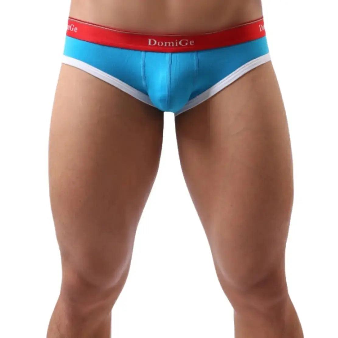 DomiGe Men's Low-Rise Modal Briefs with U-Pouch - His Inwear