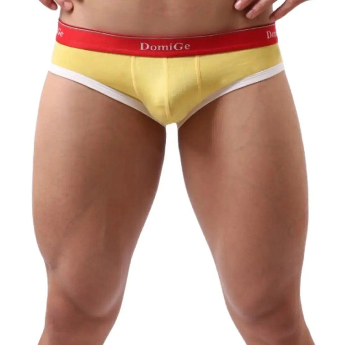 DomiGe Men's Low-Rise Modal Briefs with U-Pouch - His Inwear