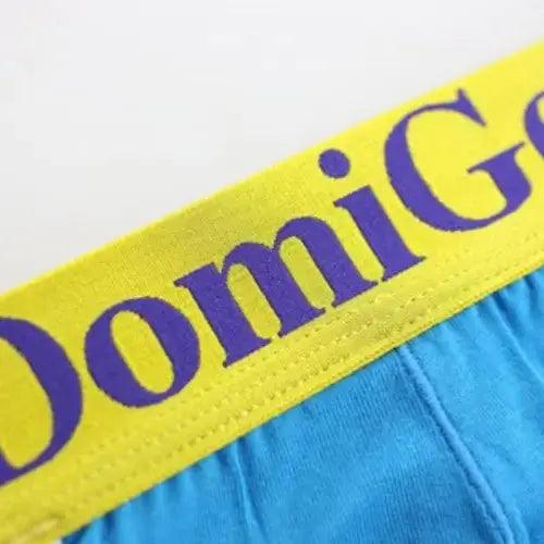 DomiGe Men's Modish T-Back Thong Modal Blend Thongs for Men - His Inwear