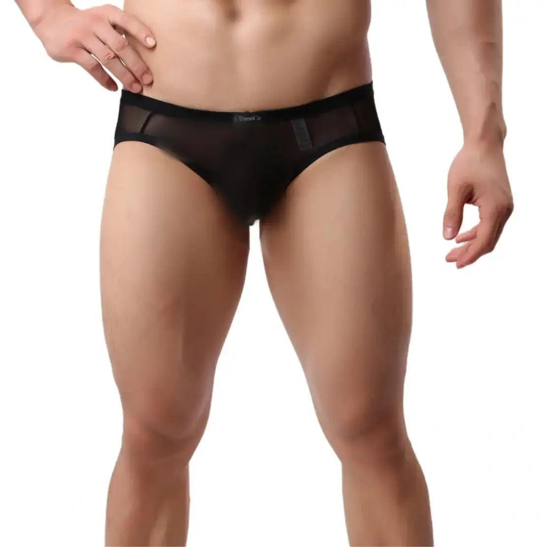 DomiGe Men's Sheer Briefs with Contoured Pouch and Logo Waistband - His Inwear