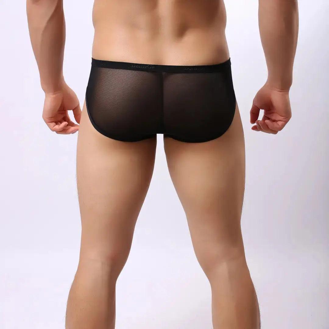 DomiGe Men's Sheer Briefs with Contoured Pouch and Logo Waistband - His Inwear