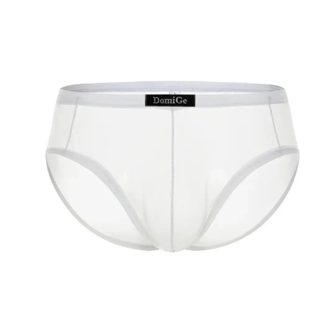 DomiGe Men's Sheer Briefs with Contoured Pouch and Logo Waistband - His Inwear