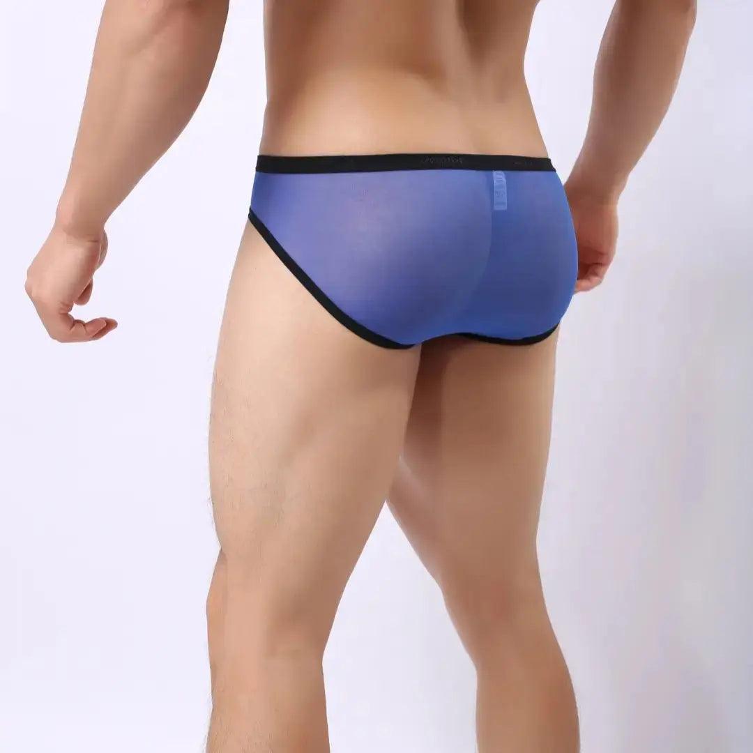 DomiGe Men's Sheer Briefs with Contoured Pouch and Logo Waistband - His Inwear