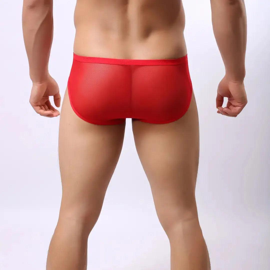 DomiGe Men's Sheer Briefs with Contoured Pouch and Logo Waistband - His Inwear