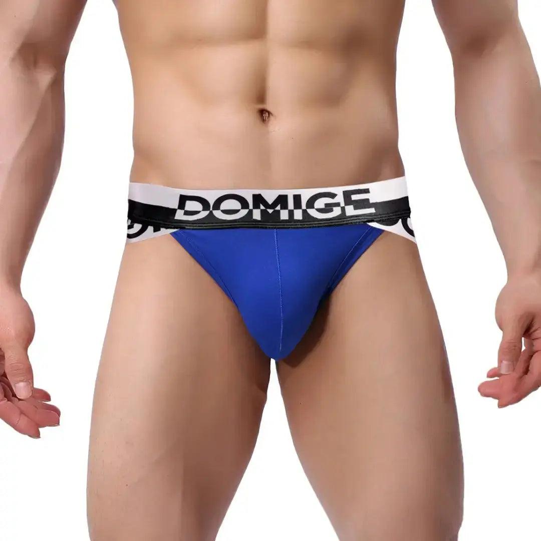 DomiGe Men's Underwear Briefs with Silver Logo Waistband - His Inwear