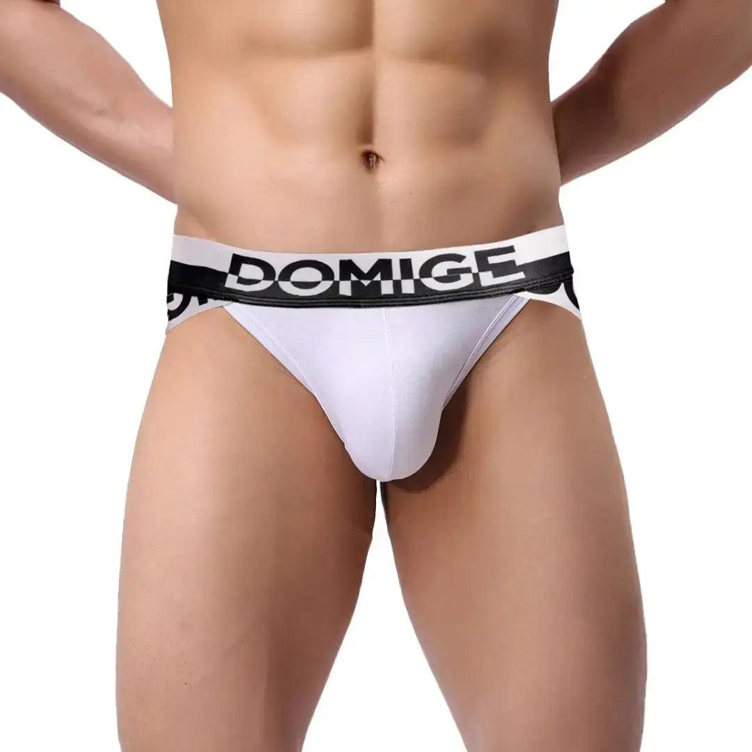 DomiGe Men's Underwear Briefs with Silver Logo Waistband - His Inwear