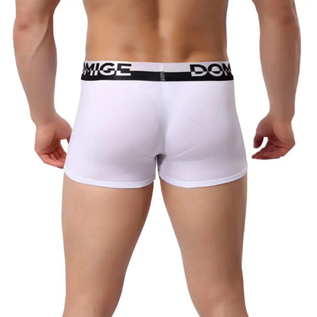 Men's Cotton Boxer Briefs with Silver Waistband and Turtle Shell Design Male Underwears - His Inwear