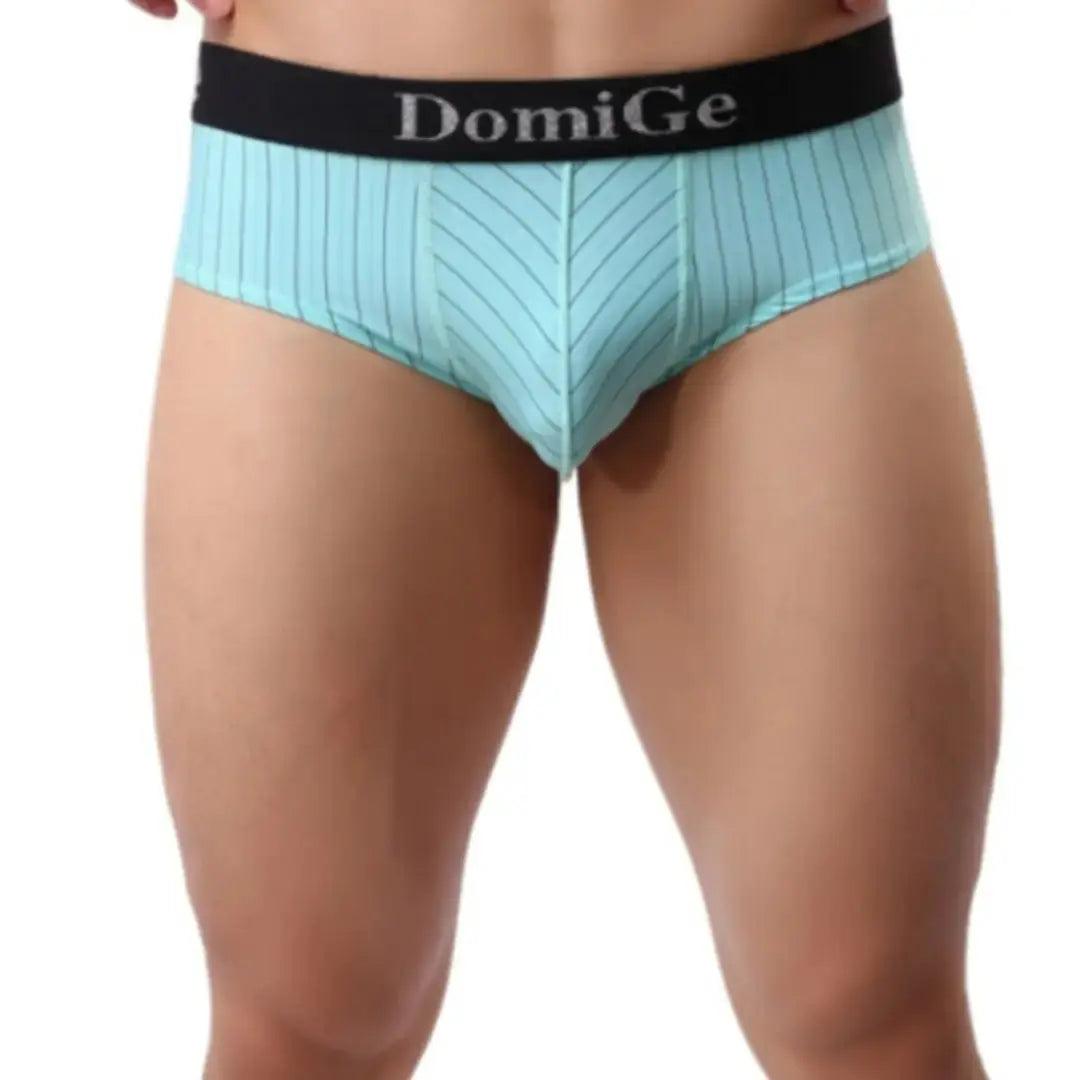 Men's Ice Silk Striped Mid-Waist Trunks with Silver Logo Waistband and Contour Pouch Male Underwear - His Inwear