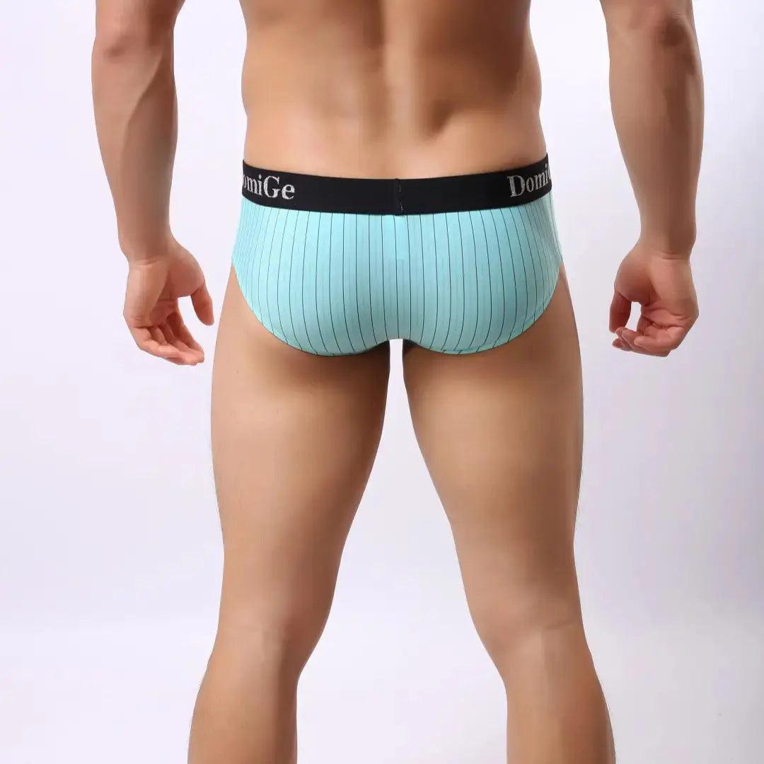 Men's Ice Silk Striped Mid-Waist Trunks with Silver Logo Waistband and Contour Pouch Male Underwear - His Inwear