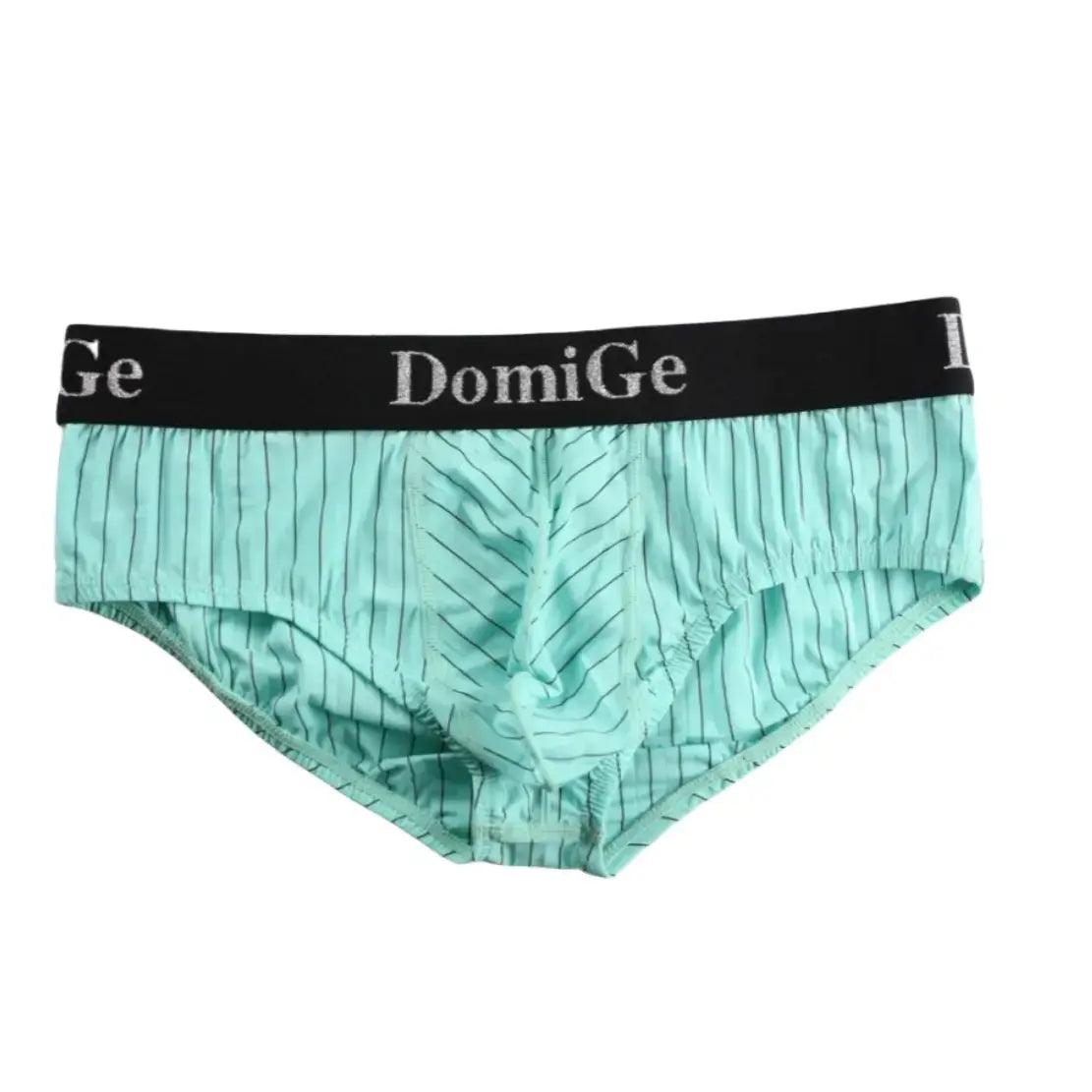 Men's Ice Silk Striped Mid-Waist Trunks with Silver Logo Waistband and Contour Pouch Male Underwear - His Inwear