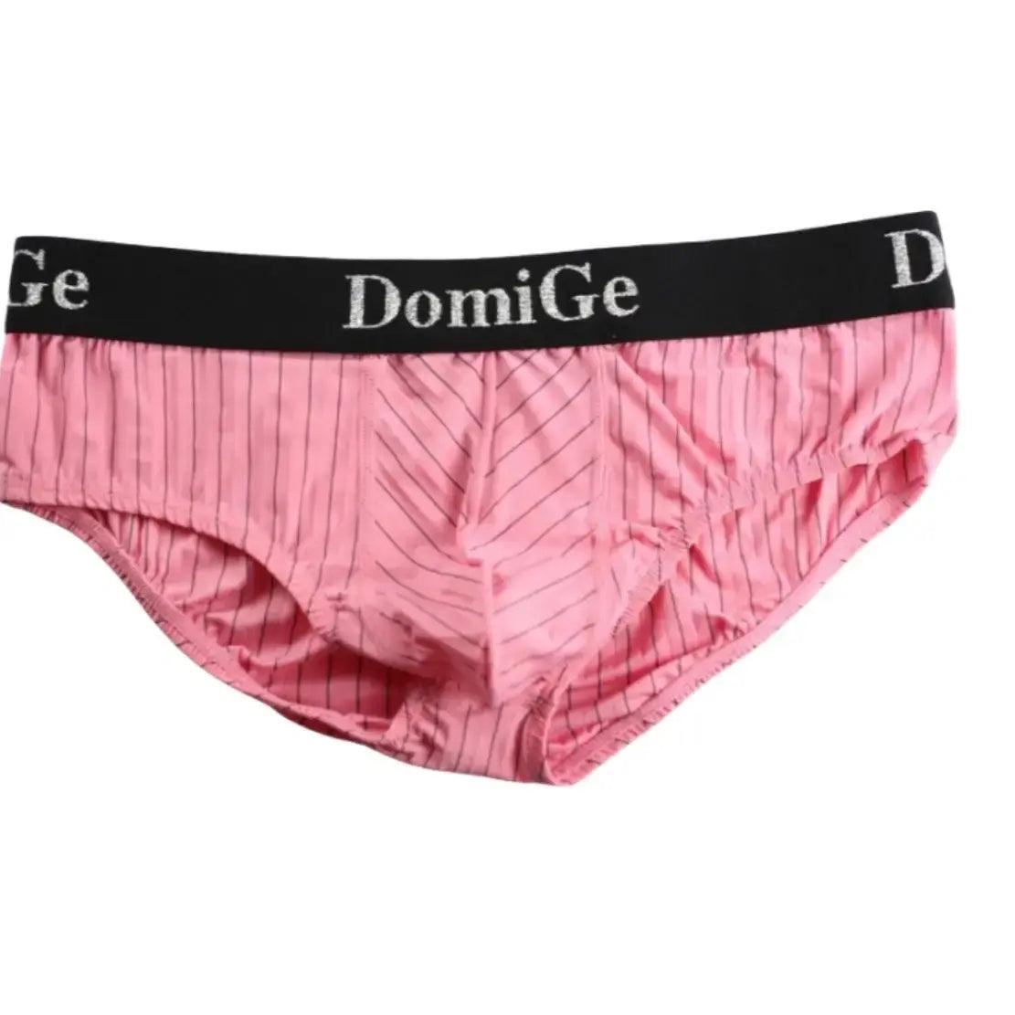 Men's Ice Silk Striped Mid-Waist Trunks with Silver Logo Waistband and Contour Pouch Male Underwear - His Inwear