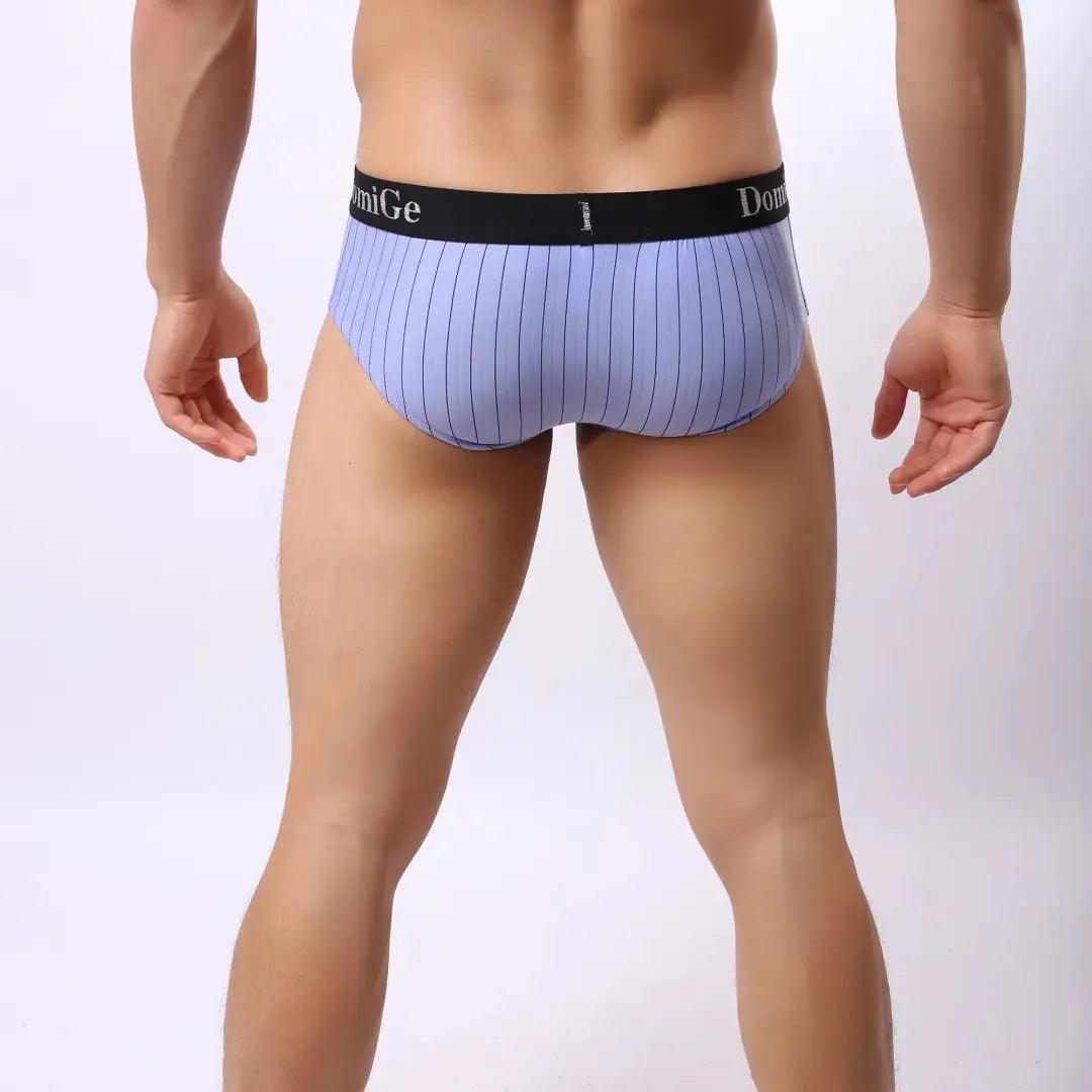 Men's Ice Silk Striped Mid-Waist Trunks with Silver Logo Waistband and Contour Pouch Male Underwear - His Inwear