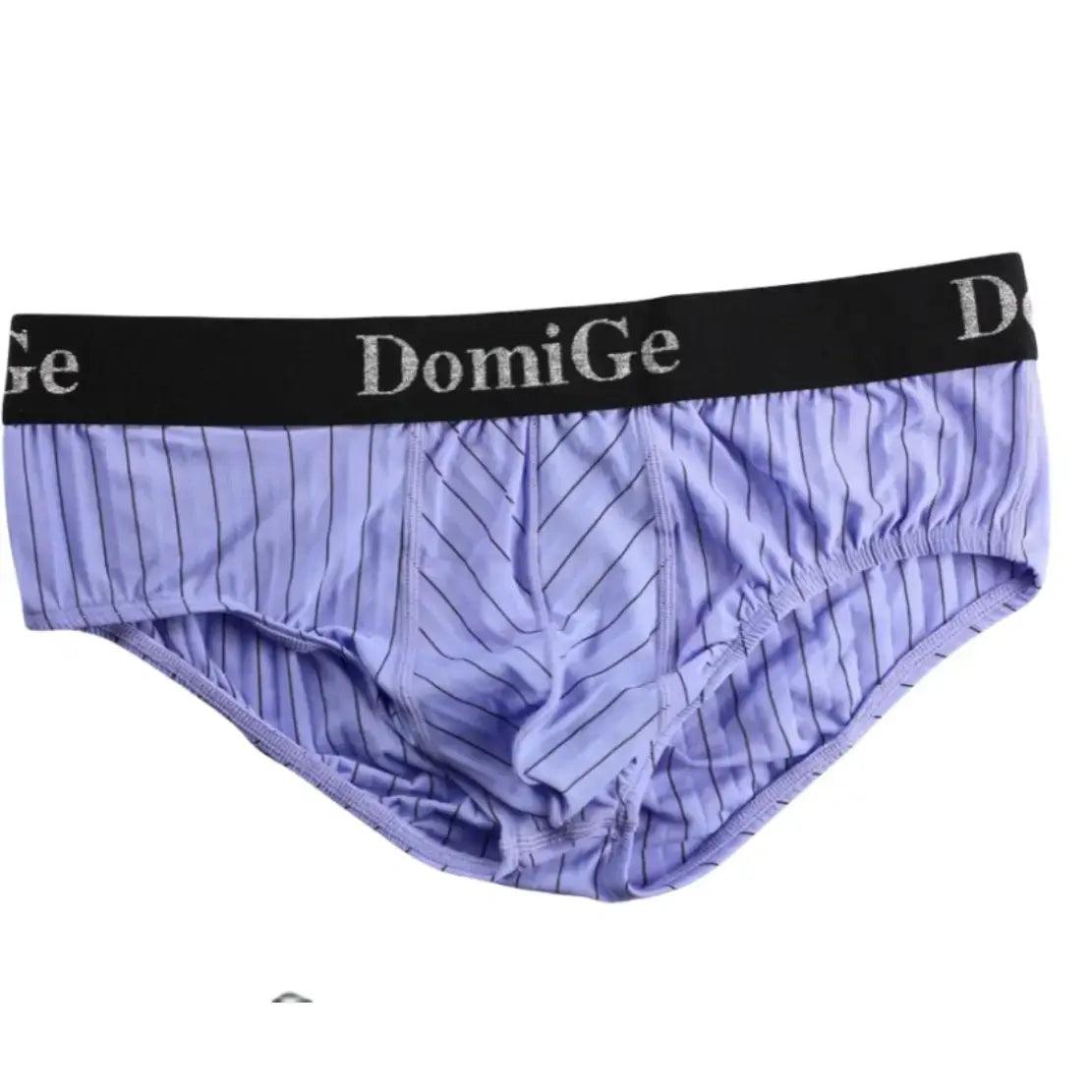 Men's Ice Silk Striped Mid-Waist Trunks with Silver Logo Waistband and Contour Pouch Male Underwear - His Inwear