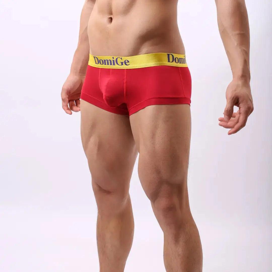 Men's Low-Rise Briefs with Full Coverage and Contrast Logo Waistband Trunks - His Inwear