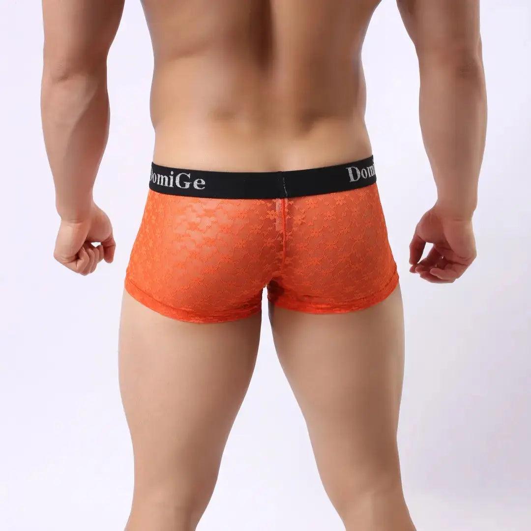 Men's Mesh and Sheer Trunks with Stylish Logo Waistband - Ultimate Comfort & Seduction Male Underwear - His Inwear