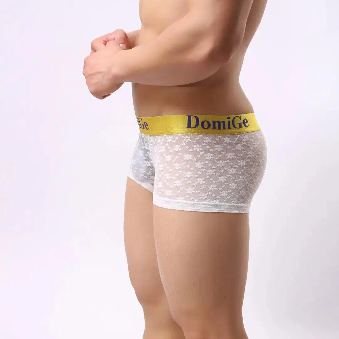 Men's Mesh and Sheer Trunks with Stylish Logo Waistband - Ultimate Comfort & Seduction Male Underwear - His Inwear