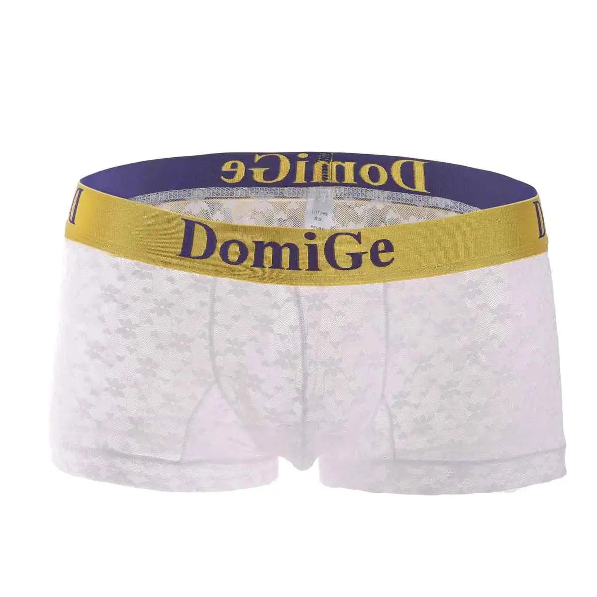 Men's Mesh and Sheer Trunks with Stylish Logo Waistband - Ultimate Comfort & Seduction Male Underwear - His Inwear