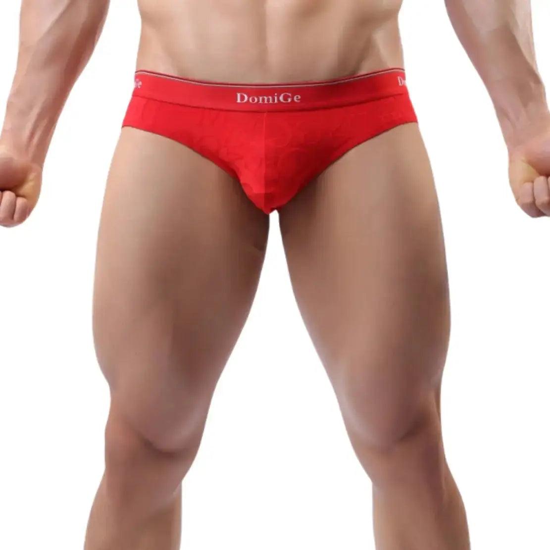 Men's Mid-Rise Bamboo Fiber Briefs with Enhanced Comfort Design and Signature Logo Waistband Male Underwear - His Inwear