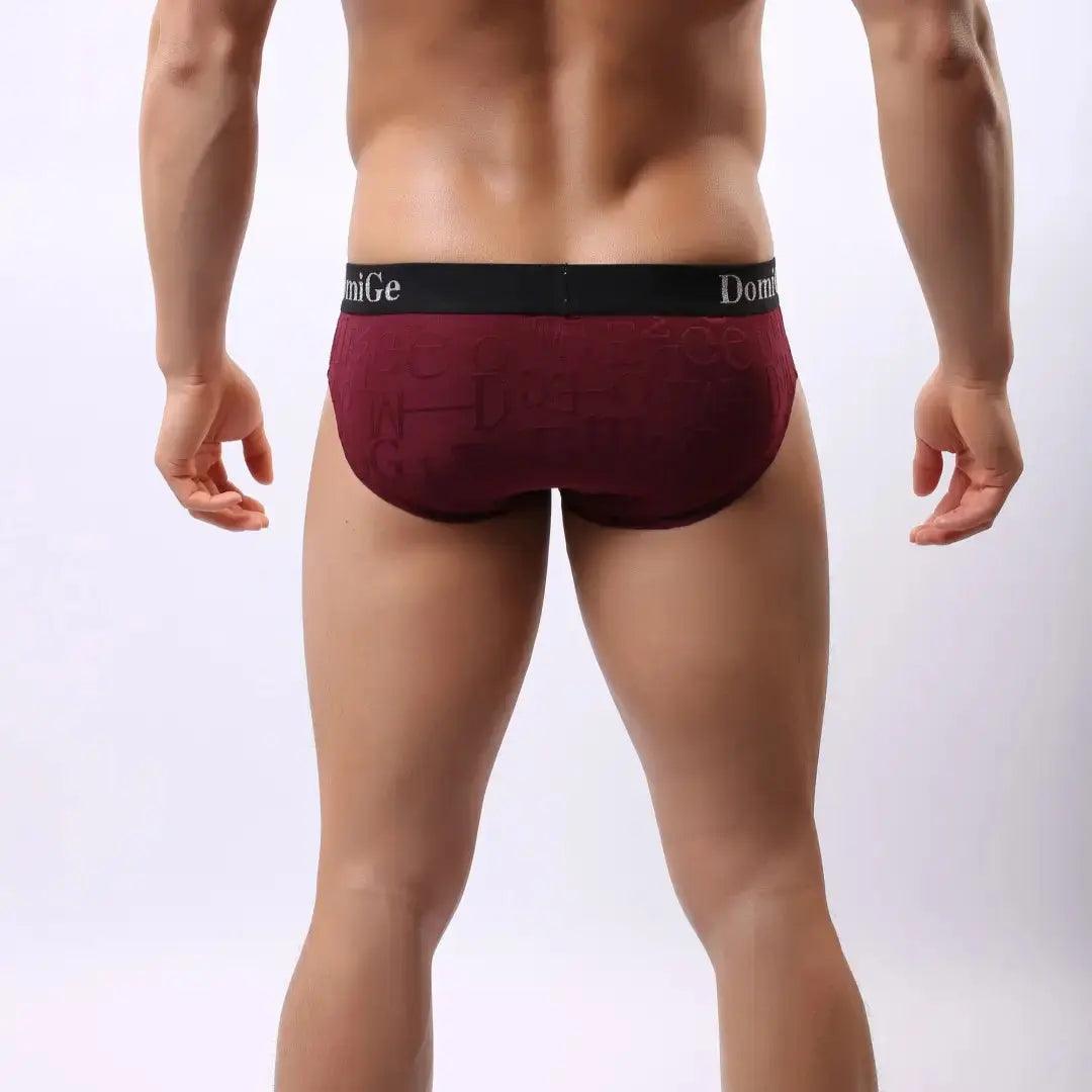 Men's Mid-Rise Bamboo Fiber Briefs with Enhanced Comfort Design and Signature Logo Waistband Male Underwear - His Inwear