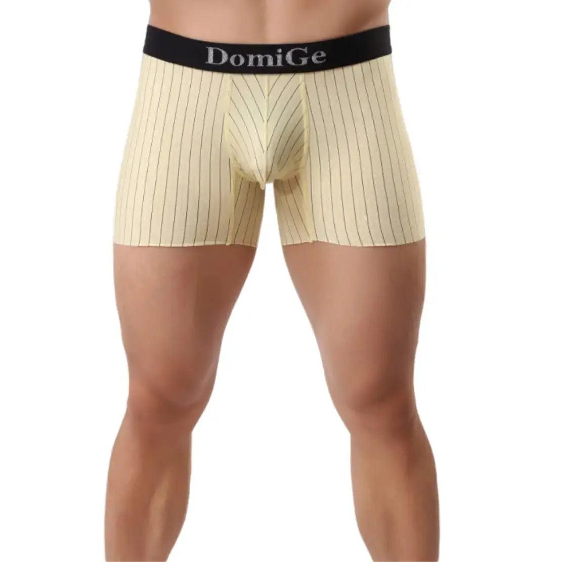 Men's Mid-Rise Striped Boxers with Seamless Leg Design and Silver Logo Waistband Male Underwears - His Inwear