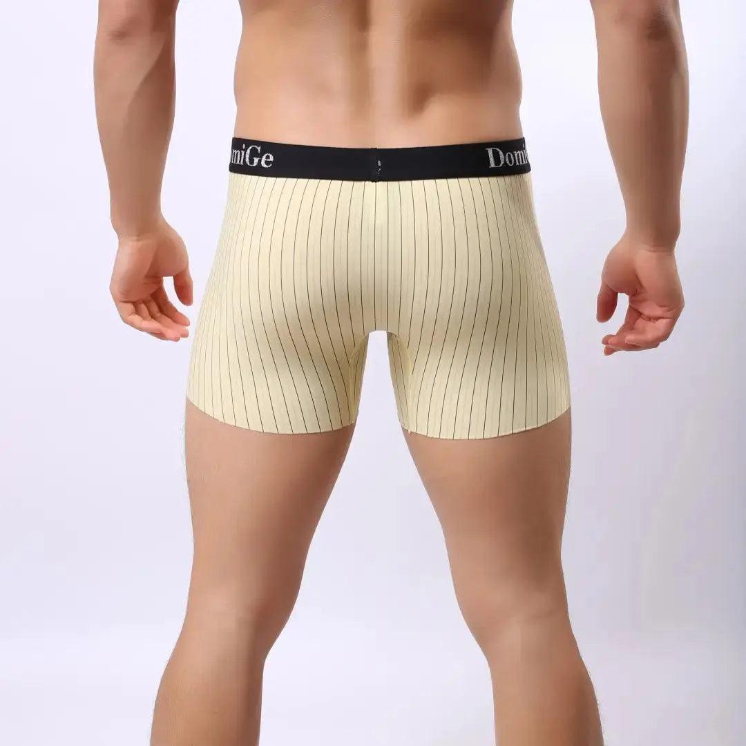 Men's Mid-Rise Striped Boxers with Seamless Leg Design and Silver Logo Waistband Male Underwears - His Inwear