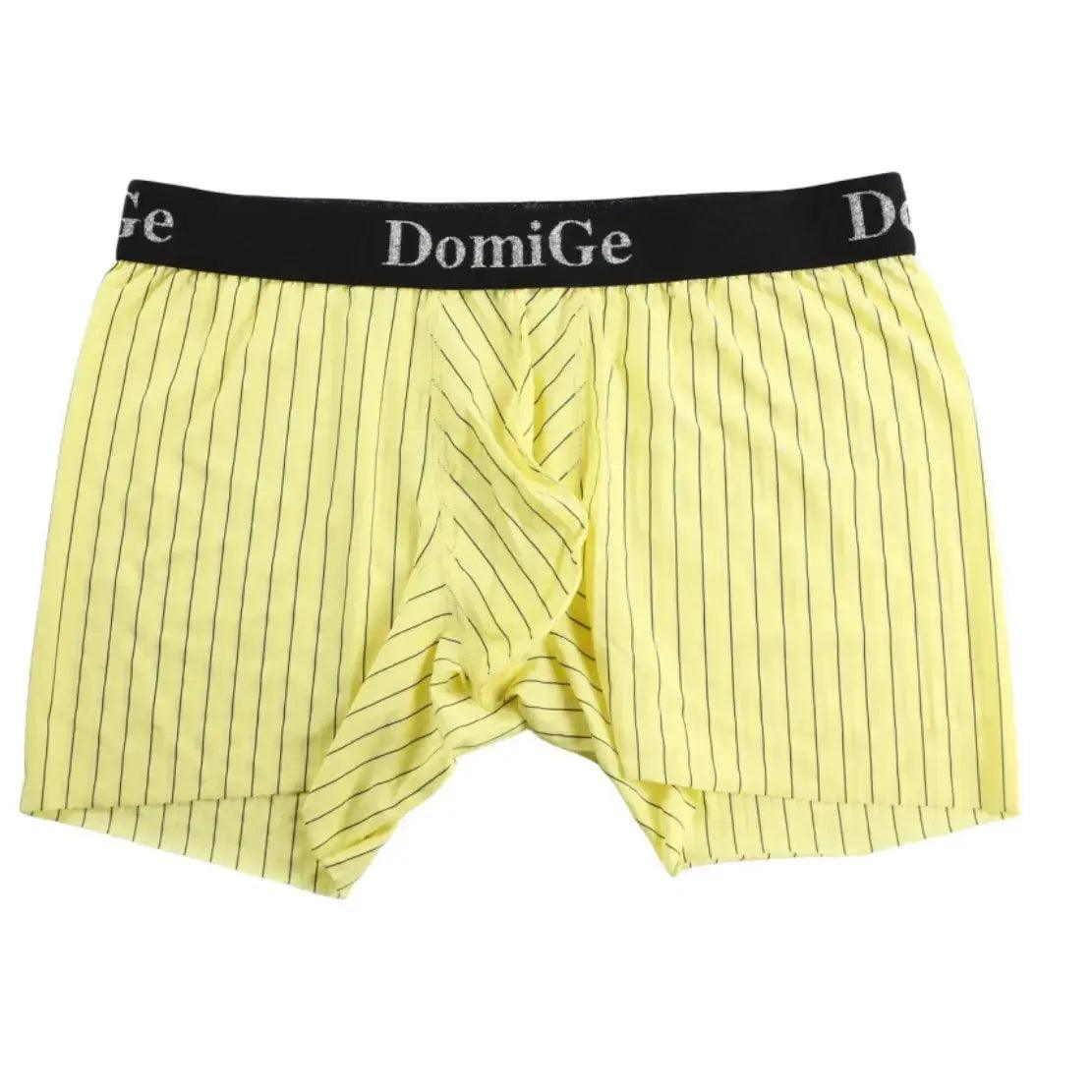 Men's Mid-Rise Striped Boxers with Seamless Leg Design and Silver Logo Waistband Male Underwears - His Inwear