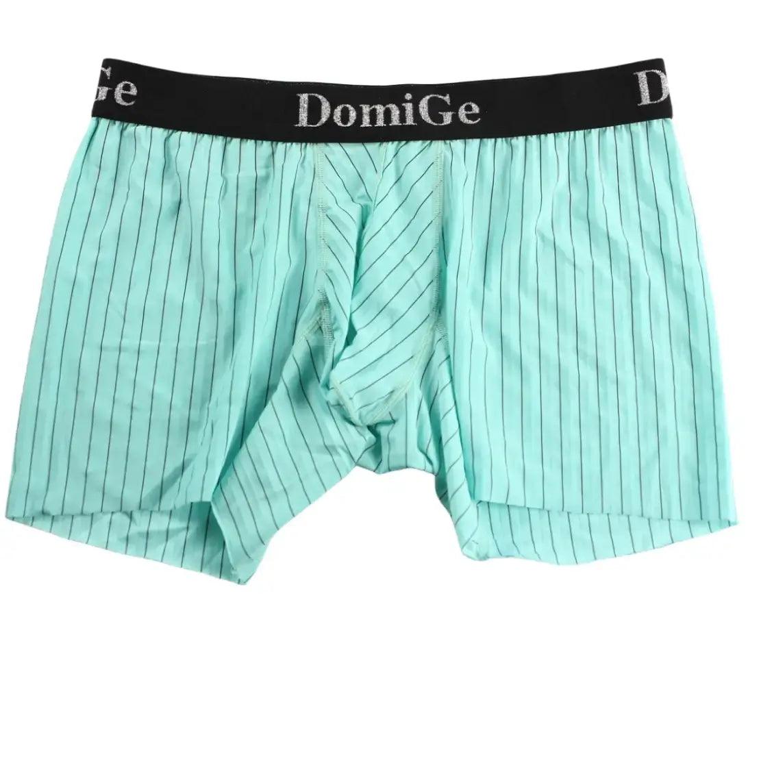 Men's Mid-Rise Striped Boxers with Seamless Leg Design and Silver Logo Waistband Male Underwears - His Inwear