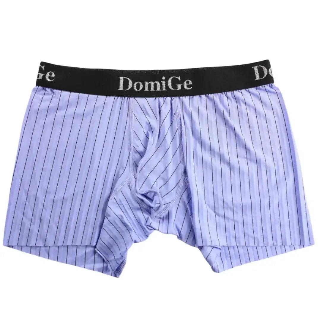 Men's Mid-Rise Striped Boxers with Seamless Leg Design and Silver Logo Waistband Male Underwears - His Inwear