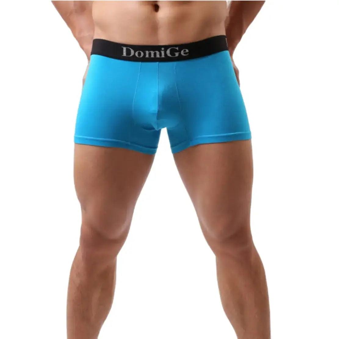 Men's Mid-Waist Modal Boxer Briefs Seamless Male Underwear - His Inwear