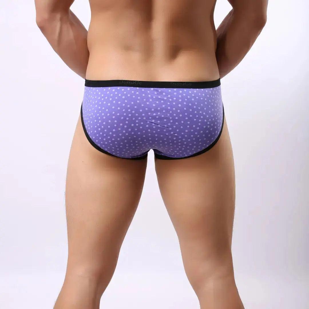 Men's Modal Mid-Rise Briefs with Logo Waistband - Ultimate Comfort and Fit Male Underwear - His Inwear