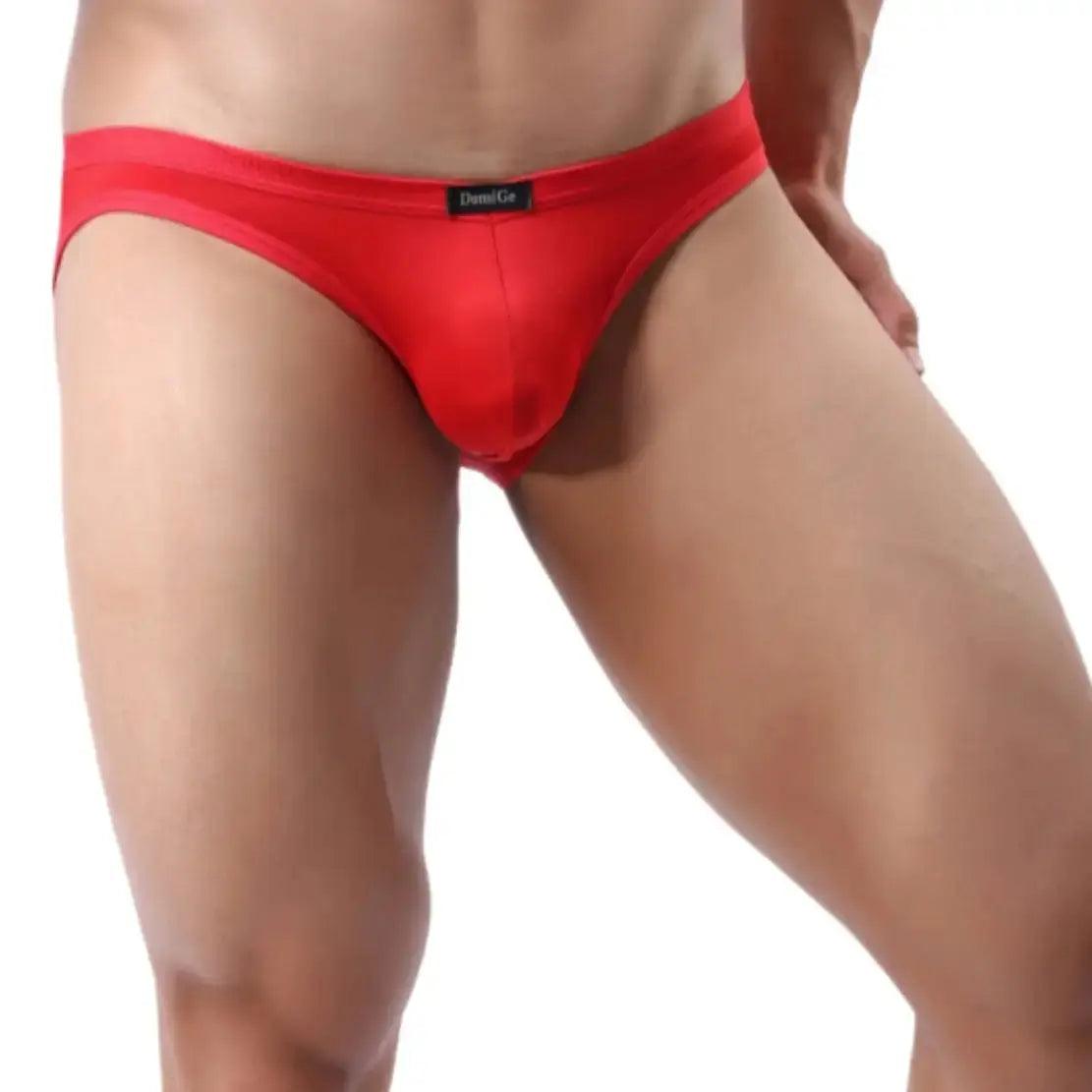 Men's Premium Ice Silk Nylon Briefs Nylon Logo Waistband and Seamless Rear Design Male Underwear - His Inwear