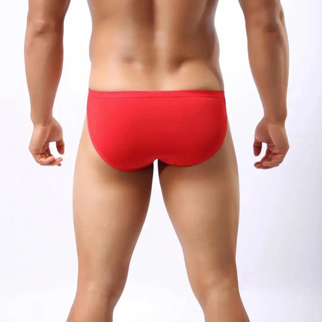 Men's Premium Ice Silk Nylon Briefs Nylon Logo Waistband and Seamless Rear Design Male Underwear - His Inwear