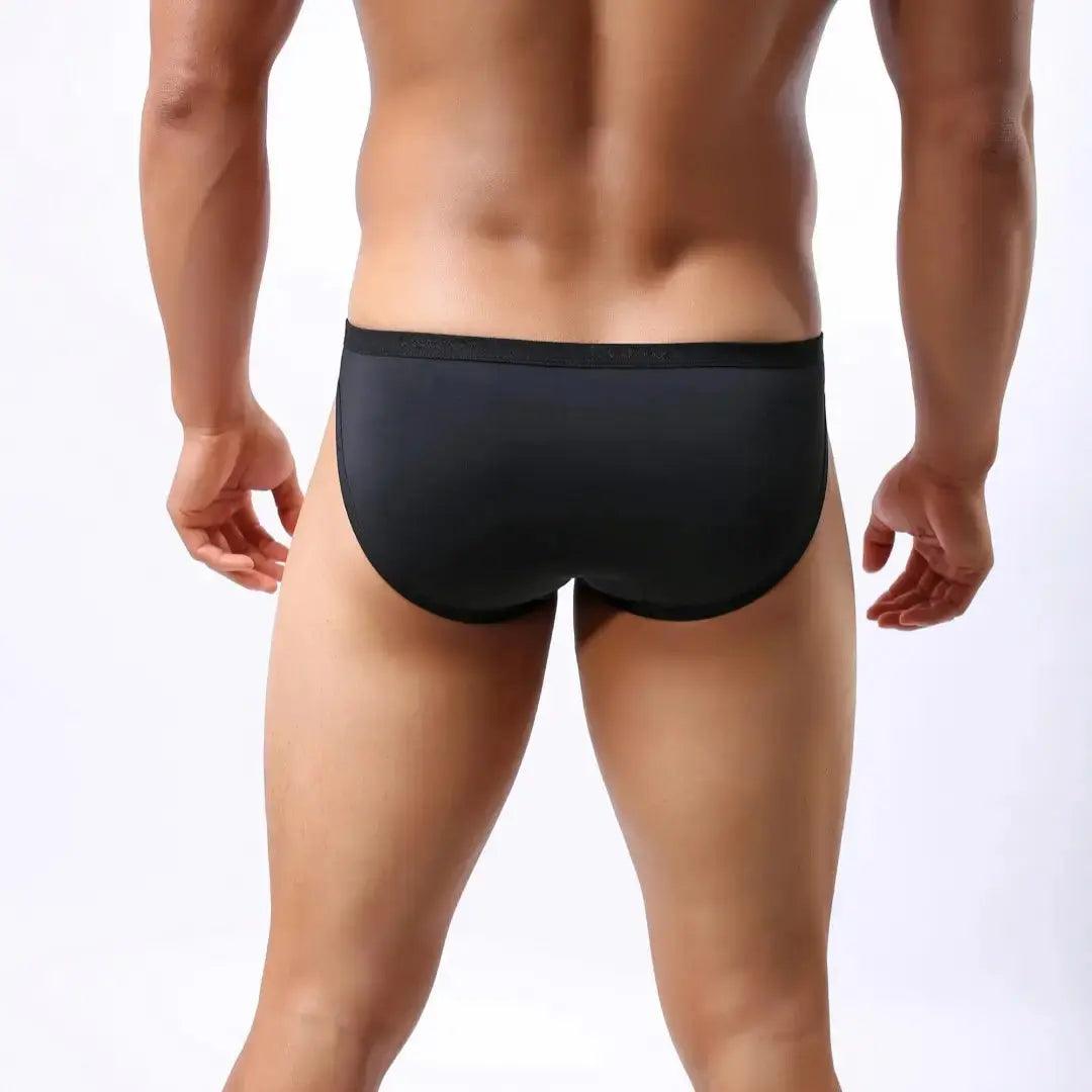 Men's Premium Ice Silk Nylon Briefs Nylon Logo Waistband and Seamless Rear Design Male Underwear - His Inwear