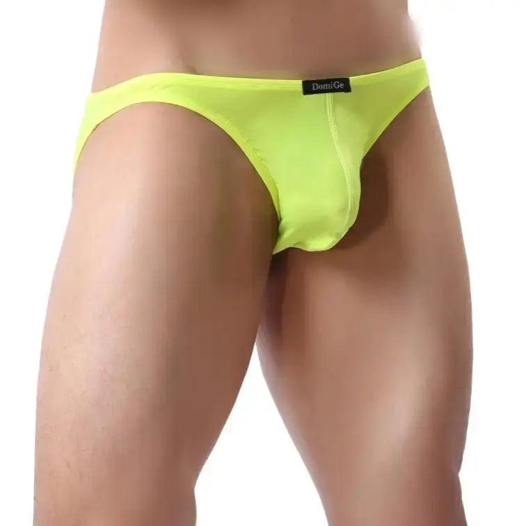 SleekFit Men's Ultra-Comfort Nylon-Spandex Low-Rise Briefs with Full Coverage Male Briefs Underwear - His Inwear