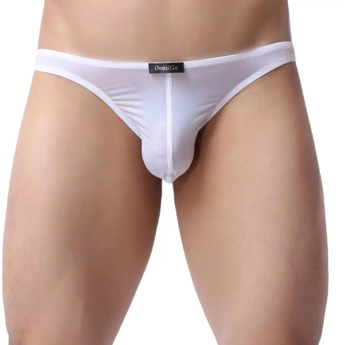 SleekFit Men's Ultra-Comfort Nylon-Spandex Low-Rise Briefs with Full Coverage Male Briefs Underwear - His Inwear