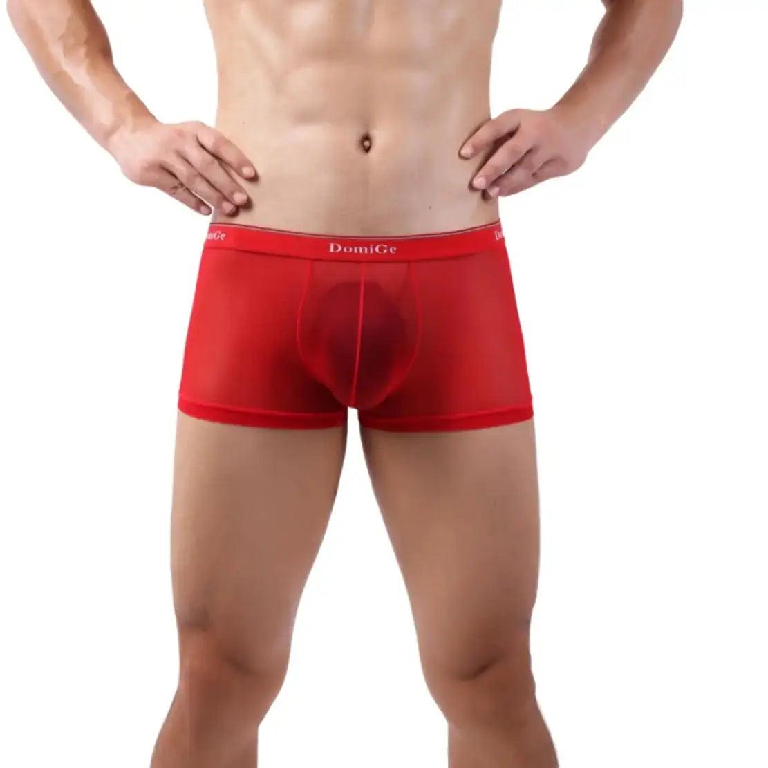 Tempt Sheer Men’s Low Rise Sexy Sheer See Through Underwear for Man - His Inwear